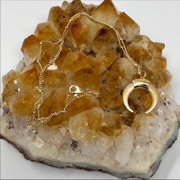 💫Last One💫18k Gold Horn Crescent Choker Necklace - Picture 2 of 5